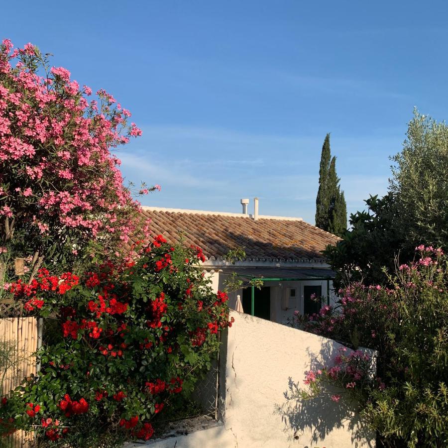 منزل الضيف إل شورو  في Casa Anita - La Almona Chica المظهر الخارجي الصورة
