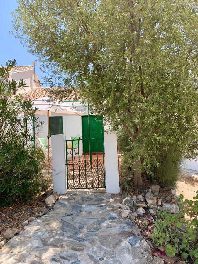 منزل الضيف إل شورو  في Casa Anita - La Almona Chica المظهر الخارجي الصورة